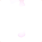 Federboa rosa (1.80 m)